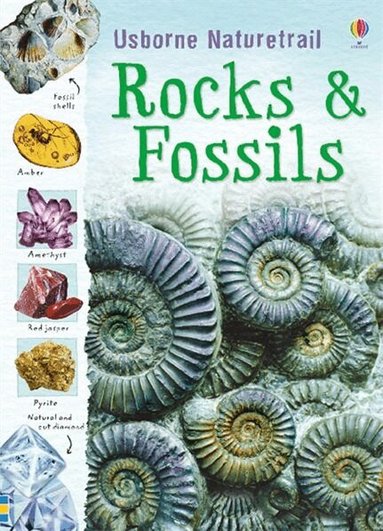 Struan Reid - Rocks and Fossils, Häftad