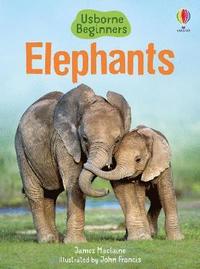 bokomslag Elephants