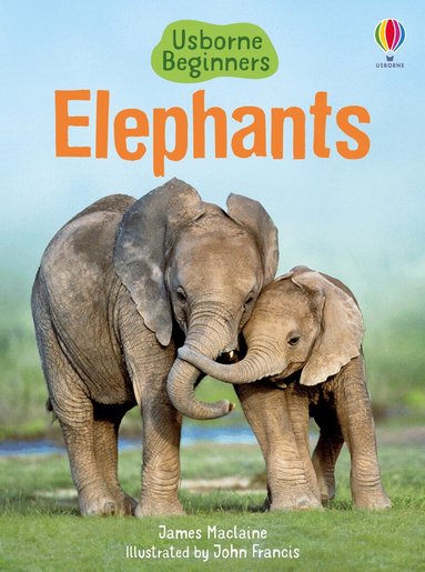 James Maclaine - Elephants, Inbunden