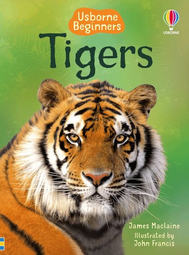 James Maclaine - Tigers, Inbunden