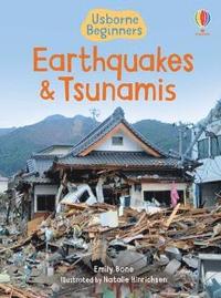 bokomslag Earthquakes and Tsunamis