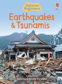 bokomslag Earthquakes & Tsunamis