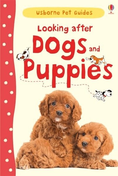 Katherine Starke - Looking after Dogs and Puppies, Inbunden
