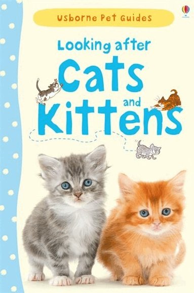 Katherine Starke - Looking after Cats and Kittens, Inbunden