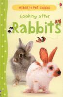 bokomslag Looking after Rabbits