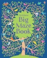 bokomslag Big Maze Book