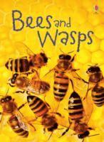 bokomslag Maclaine, J: Bees and Wasps
