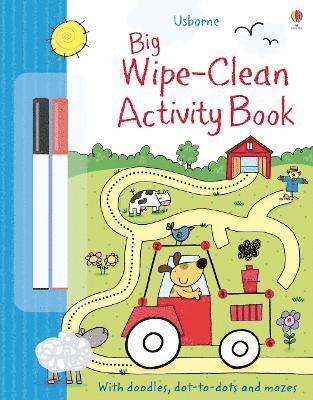 Big Wipe Clean Activity Book 1