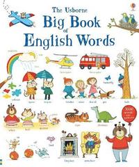 bokomslag Big Book of English Words