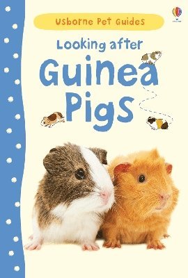 Laura Howell - Looking after Guinea Pigs, Inbunden