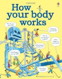bokomslag How your body works