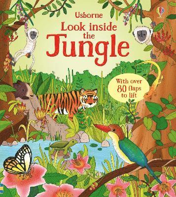 Look Inside the Jungle 1