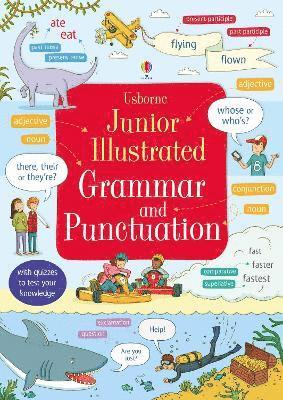 bokomslag Junior Illustrated Grammar and Punctuation