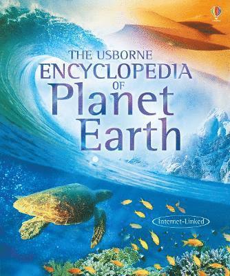 bokomslag The Usborne Encyclopedia of Planet Earth