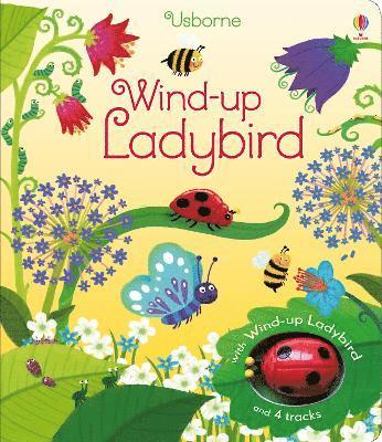 bokomslag Wind-up Ladybird