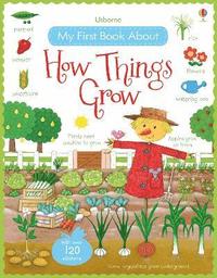 bokomslag My First Book About How Things Grow