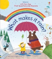 bokomslag First Questions and Answers: What makes it rain?