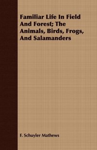 bokomslag Familiar Life In Field And Forest; The Animals, Birds, Frogs, And Salamanders