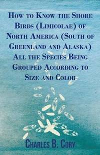 bokomslag How To Know The Shore Birds (Limicolae) Of North America (South Of Greenland And Alaska) All The Species Being Grouped According To Size And Color