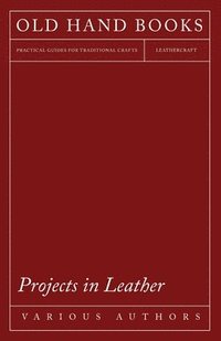 bokomslag Projects in Leather