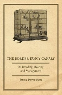 bokomslag Border Fancy Canary - Its Breeding, Rearing And Management