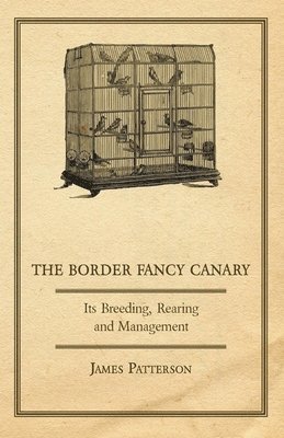 bokomslag Border Fancy Canary - Its Breeding, Rearing And Management