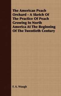 bokomslag The American Peach Orchard - A Sketch Of The Practice Of Peach Growing In North America At The Beginning Of The Twentieth Century