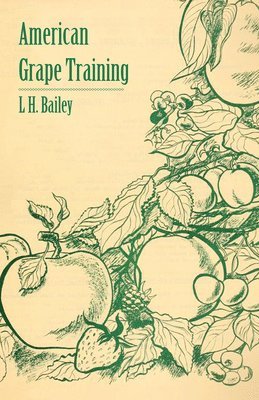 L H Bailey - American Grape Training - An Account of the Leading Forms Now in Use of Training the American Grapes, Häftad