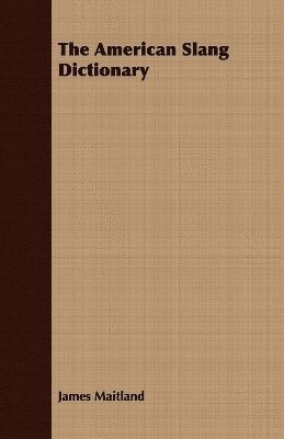 bokomslag American Slang Dictionary
