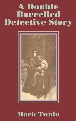 bokomslag Double Barrelled Detective Story