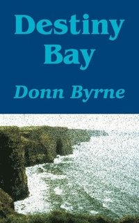 bokomslag Destiny Bay