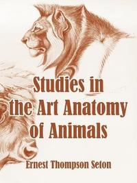 bokomslag Studies in the Art Anatomy of Animals