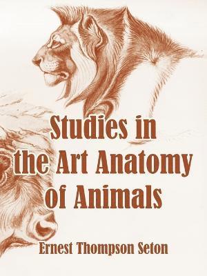 bokomslag Studies in the Art Anatomy of Animals