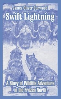 bokomslag Swift Lightning