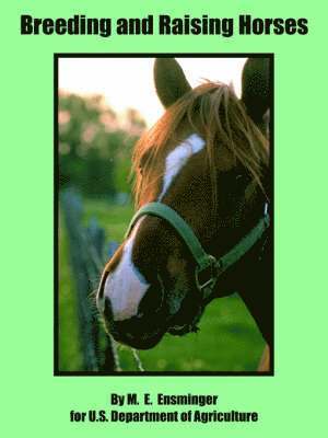 bokomslag Breeding and Raising Horses