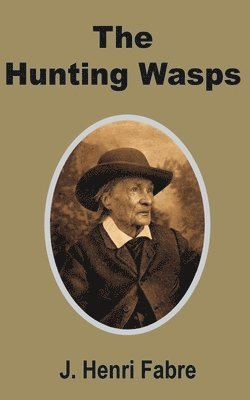 Jean-Henri Fabre - Hunting Wasps, Häftad