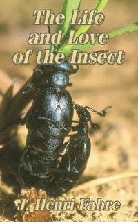 bokomslag The Life and Love of the Insect