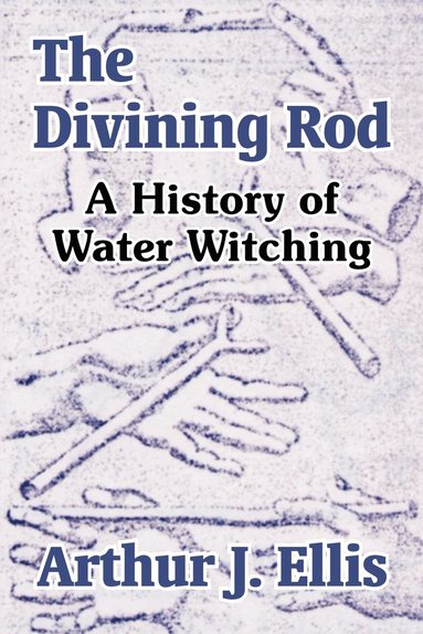 bokomslag Divining Rod