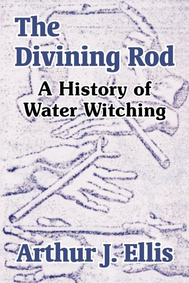 bokomslag The Divining Rod