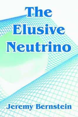 bokomslag Elusive Neutrino
