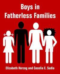 bokomslag Boys in Fatherless Families
