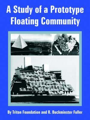 Study of a Prototype Floating Community