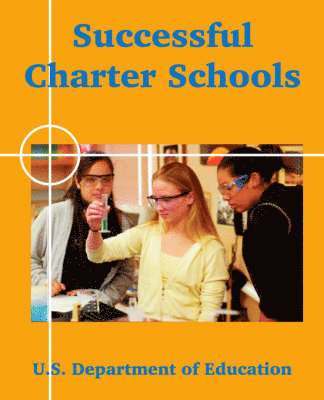 bokomslag Successful Charter Schools
