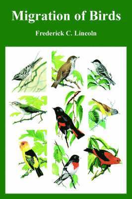Frederick C Lincoln - Migration of Birds, Häftad
