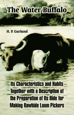 H P Garland, H. P. Garland, P. Garland, H. - Water Buffalo, Häftad