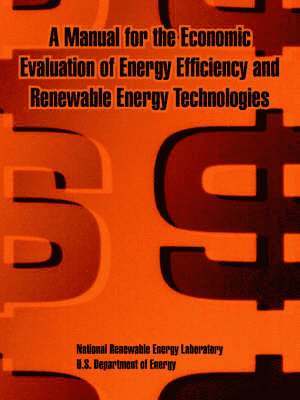 bokomslag A Manual for the Economic Evaluation of Energy Efficiency and Renewable Energy Technologies