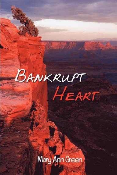 bokomslag Bankrupt Heart