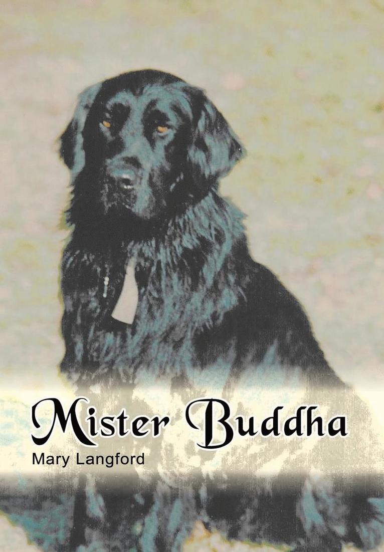 Mister Buddha 1