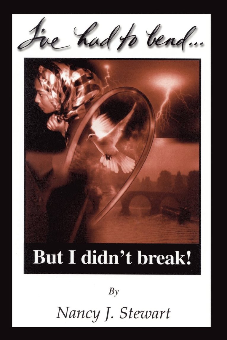Nancy J. Stewart - I've Had to Bend But I Didn't Break, Häftad