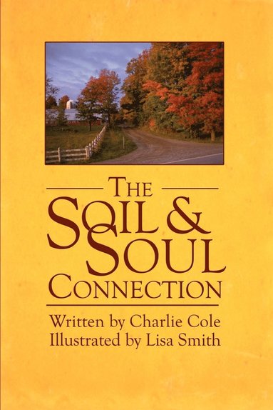bokomslag Soil and Soul Connection